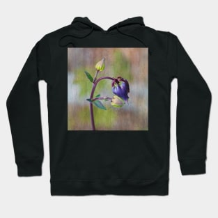 Columbine Budding Hoodie